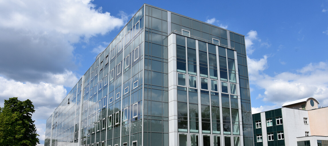 Lorem ipsum dolor sit amet enim.